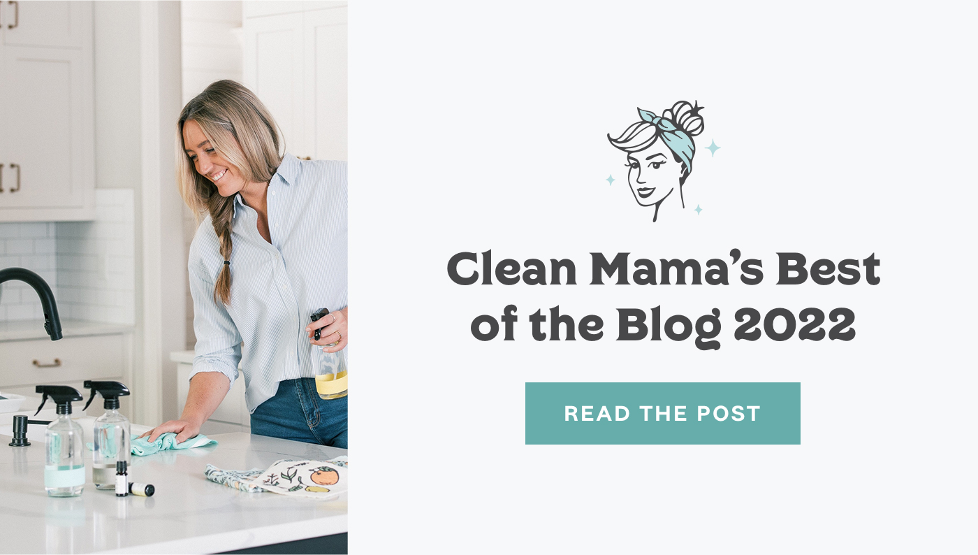 The 30 Minute Quick Clean - Clean Mama